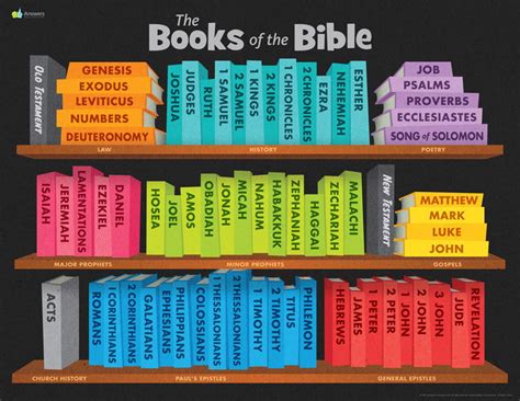 What are the First Five Books of the Bible Called? - An Insight into the Holy Scriptures